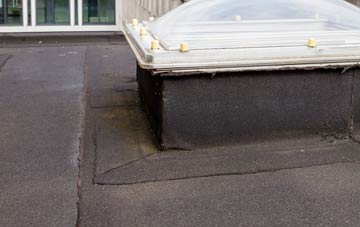 disadvantages of Ardmillan flat roofs