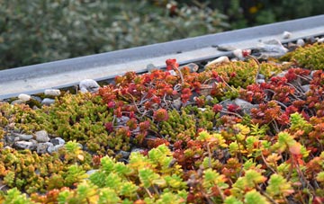 the cost of Ardmillan green roof installation