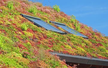Ardmillan living roof systems