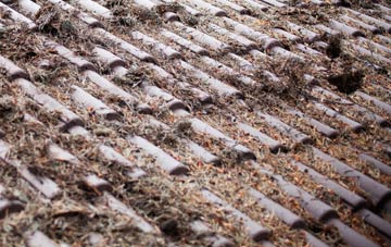 Ardmillan roof cleaning companies