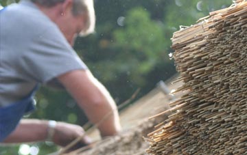 professional Ardmillan thatchers