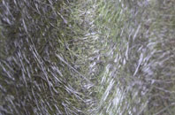 Ardmillan fibreglass roof work